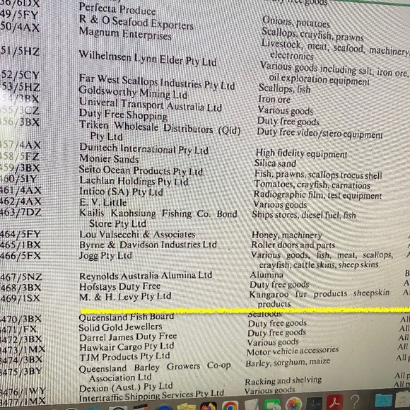 M & H Levy I 1980s I Kuddly Koala I Kangaroo Fur - Picture 15 of 16